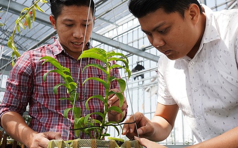 Choáng ngợp trước vườn lan đột biến 80 tỷ ở Cần Thơ