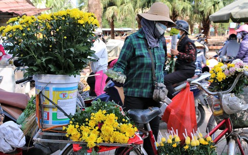 Xuân đã về ở tâm dịch Chí Linh