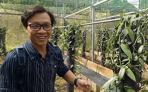 Trồng cây lạ, 4 năm mới ra hoa, hoa chỉ nở 1 ngày, 9 tháng trái mới chín bán đắt như vàng