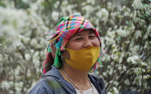 Xuống Hà Nội bán hoa lê, người dân tộc thiểu số thu nhẹ nhàng mỗi ngày 30 triệu đồng