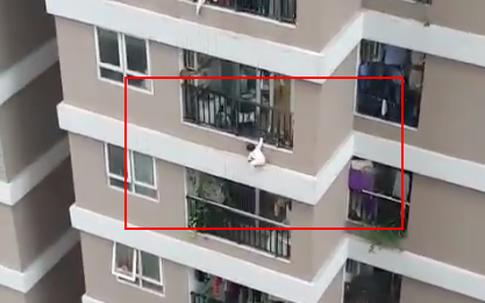 Thót tim clip bé gái 3 tuổi ở Hà Nội lơ lửng bên ngoài lan can chung cư tầng 13