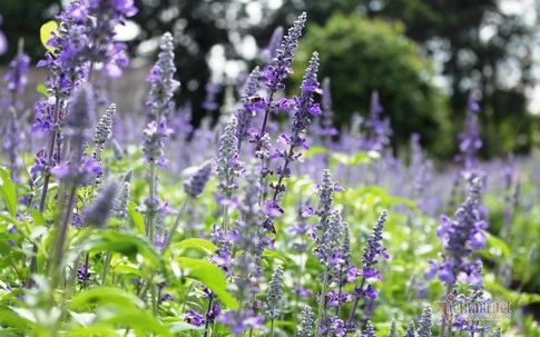 12 cách để nuôi dạy một đứa trẻ biết quan tâm, nhân ái