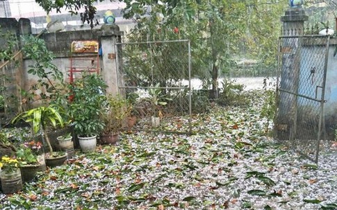 Miền Bắc sắp đón mưa dông lớn