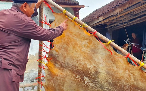 Cận cảnh quá trình thuộc da trâu, bò làm trống của những người thợ tài hoa