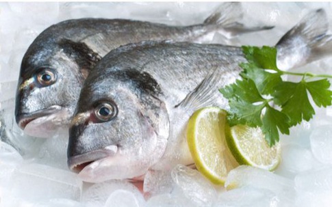 Đây là thời hạn bạn có thể bảo quản cá tươi và cá đã nấu chín trong tủ lạnh