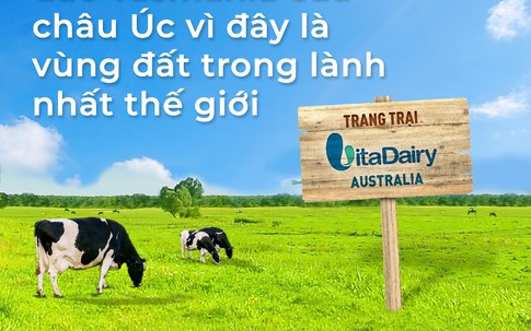 Trang trại bò sữa Việt Nam tại hòn đảo sạch nhất thế giới Tasmania, Australia