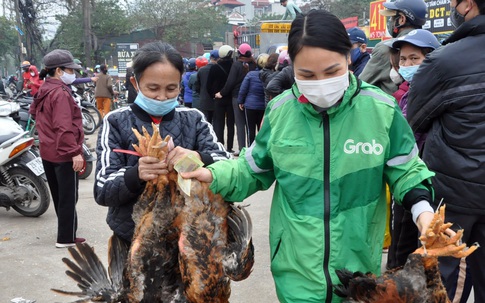 Giá chỉ 55.000 đồng/kg, người dân Thủ đô xếp hàng "giải cứu" gà đồi Chí Linh