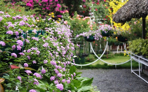 Chuyện chia tiền trong bữa ăn của bạn trai khiến tôi suy nghĩ