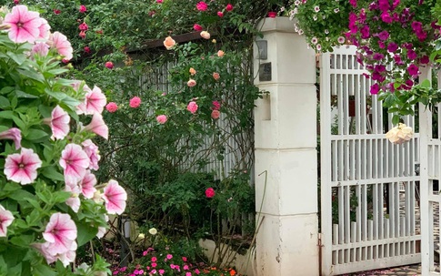 Ngôi nhà vườn bốn mùa phủ kín hoa rực rỡ của ông bố hai con ở Hà Nội
