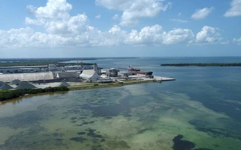 Florida (Mỹ) tuyên bố tình trạng khẩn cấp vì nguy cơ vỡ hồ nước độc hại