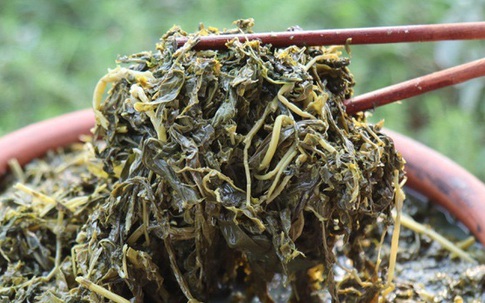 'Thượng đế' săn lùng món dưa nhà nghèo ở Phú Thọ