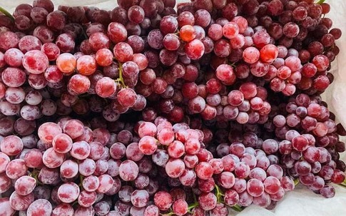 Nho Trung Quốc đổ về chợ Việt, có loại giá rẻ như khoai lang