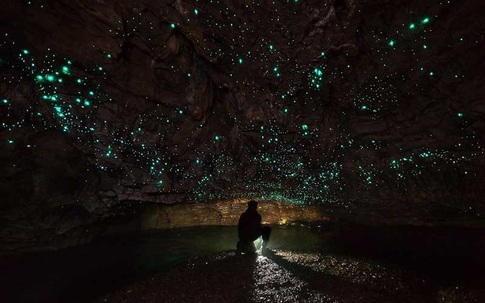 "Động thần tiên" với vô vàn đốm sáng như dải Ngân Hà ở New Zealand  