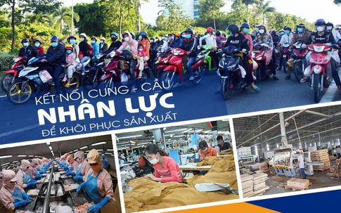 Kết nối cung - cầu để khôi phục sản xuất