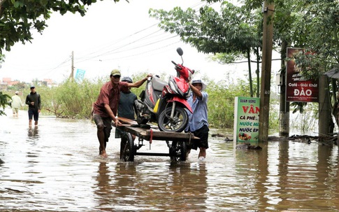 Lũ vẫn dâng cao, xe bò "cõng" xe máy vượt biển nước