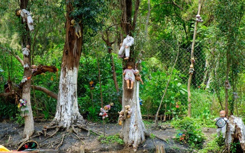 Kỳ lạ khu rừng tự sát Aokigahara ở Nhật Bản trở thành địa điểm du lịch mạo hiểm 