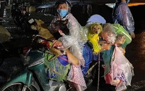 Sáng 10/10: Dân Sài Gòn mua sắm mạnh sau dịch; chuyến hồi hương đặc biệt của 15 chú chó gây xúc động