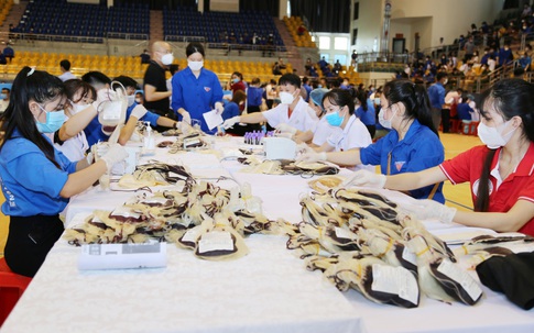 Gần 750 đơn vị máu tại Chương trình “Giọt máu nghĩa tình vì miền Nam ruột thịt”