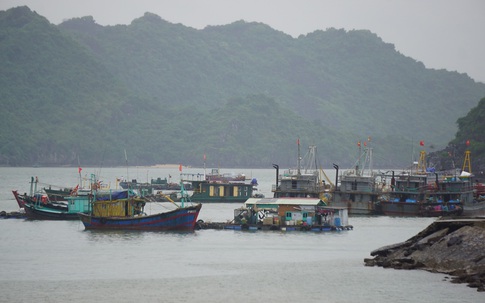 Hải Phòng, Quảng Ninh cấm biển, sẵn sàng ứng phó với bão số 7