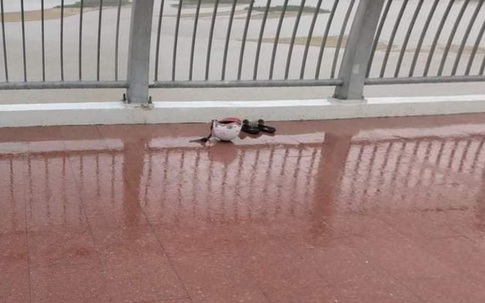 Nam thanh niên nhảy sông tự tử rồi bơi vào trụ cầu... kêu cứu