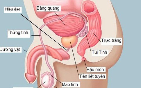 Căn bệnh nam giới U50 ai nghe cũng sợ, hãy thay đổi ngay 4 thói quen này, nếu có dấu hiệu cần được khám ngay