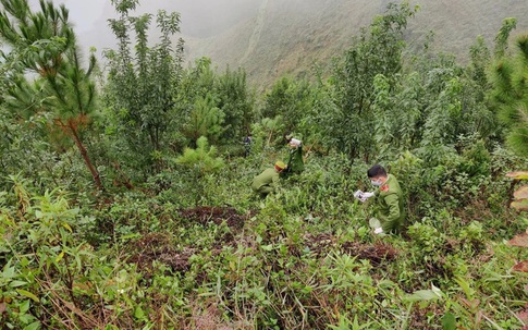 Xe KIA Morning lao xuống vực sâu Mã Pì Lèng, 3 người tử vong