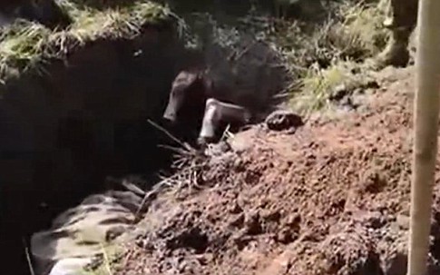 Về nhà không thấy bố, con gái phanh phui việc làm động trời của mẹ, ngỡ ngàng hơn khi biết tất cả do người chết "chỉ đạo"