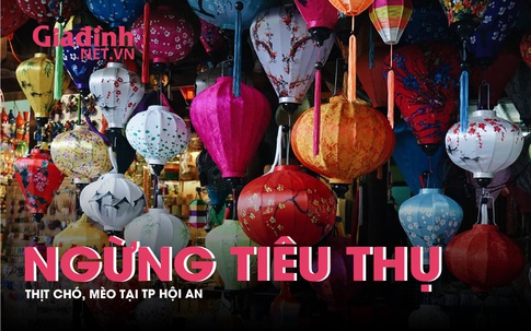 Thịt chó, mèo sẽ đựơc từ chối sử dụng tại TP Hội An