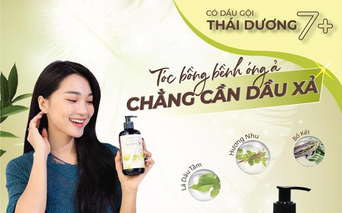 5 lý do dầu gội dược liệu Thái Dương trở thành sản phẩm quốc dân của mọi gia đình