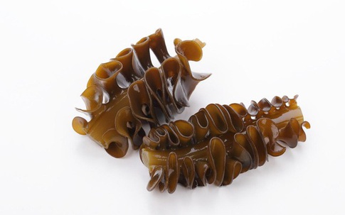 Những điều tuyệt vời chưa biết về tảo nâu Mekabu