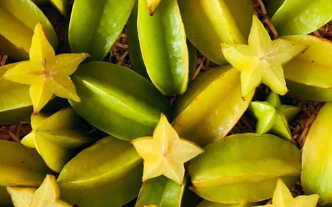 12 món ăn cực kỳ độc nếu không chế biến đúng cách: 5 món thường thấy ở Việt Nam