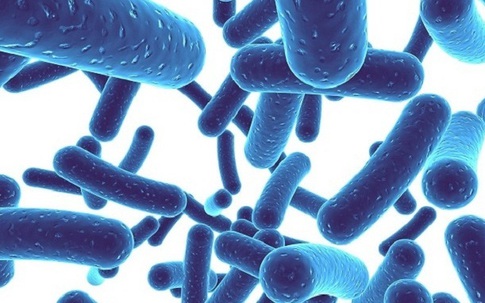 Lợi ích của men vi sinh đối với hệ tiêu hóa và miễn dịch