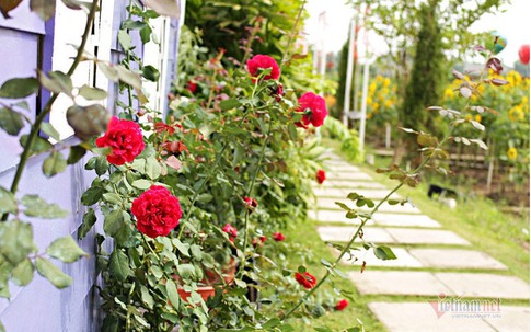 Chồng đi sửa điện cho cô hàng xóm và điều không người vợ nào muốn thấy