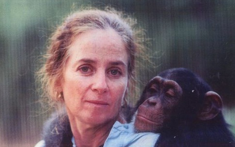 Người phụ nữ ở trong rừng 6 năm để dạy tinh tinh sống hoang dã