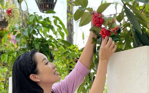 Chiêm ngưỡng khu vườn đầy hoa trái nhà Á hậu Trịnh Kim Chi