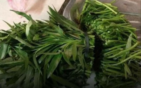 Cô gái "chặt" rau muống khi ra mắt nhà bạn trai, bị đuổi khéo "về kẻo muộn"