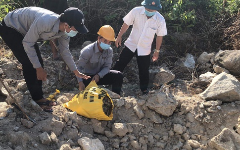 Phát hiện trăn gấm nặng 28 kg trong trường học