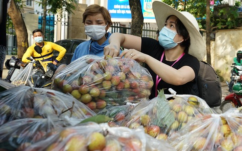 Người Hà Nội "giải cứu" vải Bắc Giang giá 20.000 đồng/kg