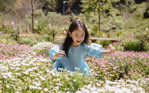 Con gái Hà Kiều Anh càng lớn càng xinh