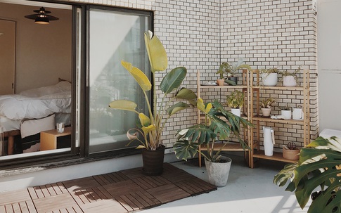 Căn hộ 33m² có ban công ngập nắng của nữ kiến trúc sư ở Thủ đô