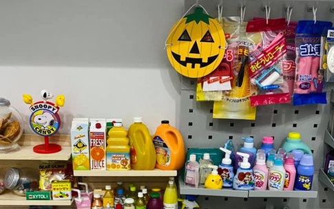 Cô gái Đà Lạt chi trăm triệu đồng sưu tầm đồ chơi trong gần 10 năm