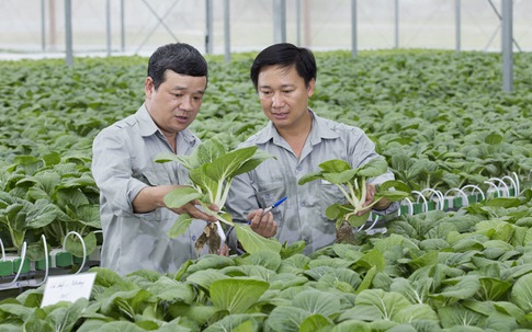 Chưa từng có, nắng quá nông dân ngồi phòng lạnh nghịch điện thoại thu triệu USD