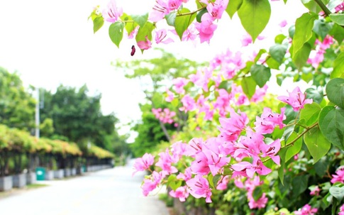 Tôi bị nhà chồng tương lai từ chối vì là trẻ mồ côi
