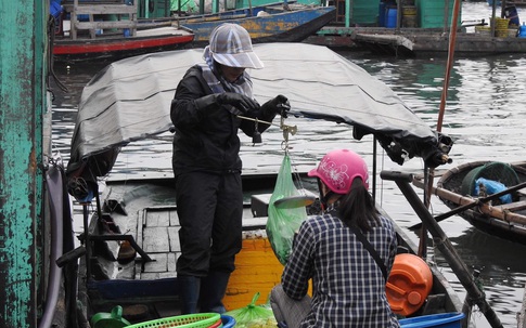 Quảng Ninh hỗ trợ người lao động gặp khó khăn trong dịch COVID-19, Hải Phòng hỗ trợ người dân của thành phố đang sống tại TP.HCM