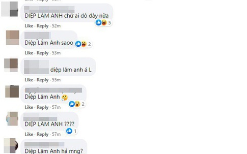 Bị gọi tên trong nghi vấn mỹ nhân ly hôn chồng đại gia, phía Diệp Lâm Anh chính thức lên tiếng