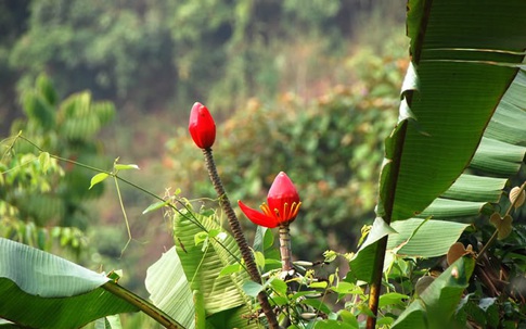 Thâm cung bí sử (240 - 5): Đêm thật lạ lùng