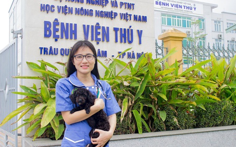 Bệnh viện Thú y, khách sạn thú cưng, bảo vệ an toàn cho chó mèo trong mùa dịch