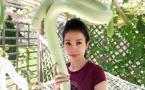 Khu vườn của mẹ Việt sai trĩu rau củ với kích thước "khủng"