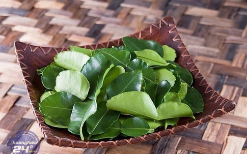Lá chanh ở Việt Nam mọc đầy vườn, xin đâu cũng có nhưng mang sang nước ngoài bán 6,35 triệu đồng/kg