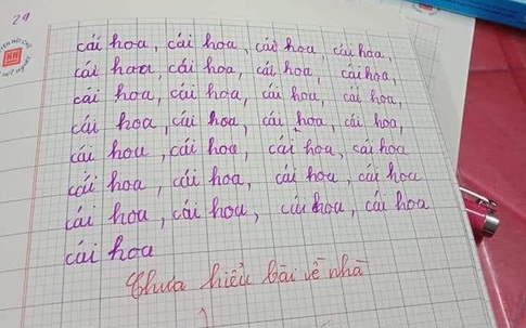 Giáo viên dặn viết 29 chữ cái hoa trong bảng chữ tiếng Việt vào vở, cô bé lớp 2 lại ghi theo kiểu này, xem vừa hài vừa tức